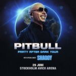 PITBULL I PARTY AFTER DARK TOUR I AVICII ARENA I STOCKHOLM